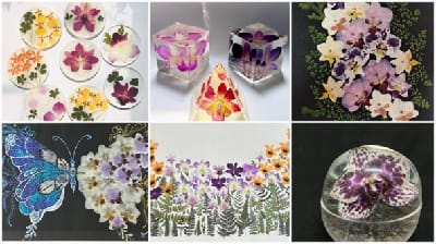 ICAR-NRCO Orchid Dry Flower Art Receives International Recognition