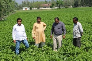 rajma-bhimmal-03