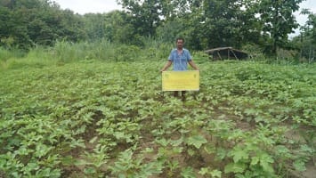 ICAR-Indian Council of Agricultural Research