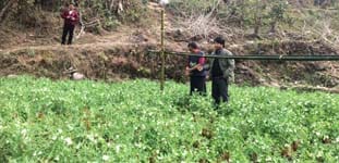 ICAR-Indian Council of Agricultural Research