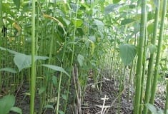 happyseeder-03-13112020