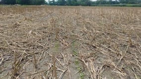 happyseeder-02-13112020