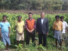 ICAR_Official_visiting_the_semialata_plantation