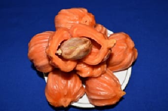Linking Jackfruit Biodiversity with Livelihood Security: A Self-Sustaining Farmer-Led Success Story