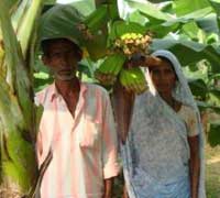 ICAR-Indian Council of Agricultural Research