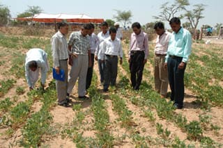 ICAR-Indian Council of Agricultural Research