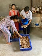 Mushroom Cultivation - A Pathway to Economic Sustainability in Doon Valley of Uttarakhand 04