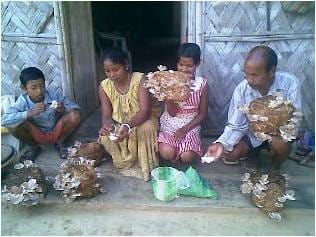 ICAR-Indian Council of Agricultural Research