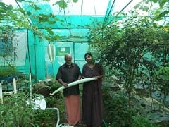 Organic-06-21082018