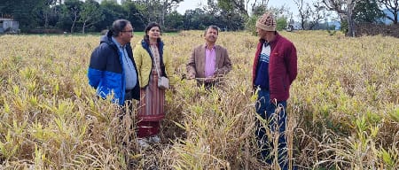 ICAR-Indian Council of Agricultural Research