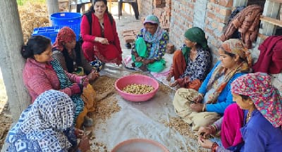 Panjhol and Sukhjhol: How Indigenous Ginger Processing is Transforming Rural Livelihoods in Dehradun From Traditional Wisdom to Rural Prosperity