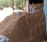 Popularization of Kathia Wheat (Variety HI-8717) for enhanced income 03