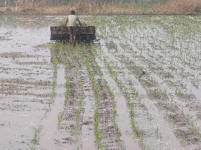 ICAR-Indian Council of Agricultural Research