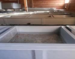 trout-farming-arunachal-pradesh-08-07-2015-4