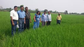 ICAR-Indian Council of Agricultural Research