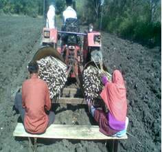 Narsinghpur3