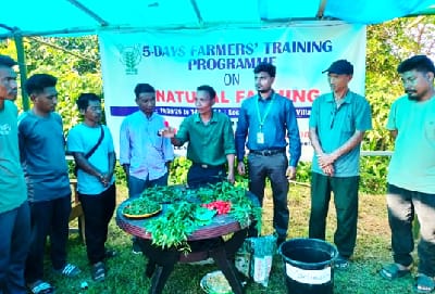 Rooted in Nature, Rising with Resilience: A Farmer’s Journey Towards Natural Farming in Nagaland