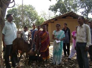 goatery-0122042014