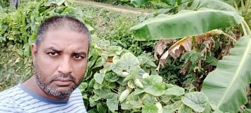 parwal-11-19102020
