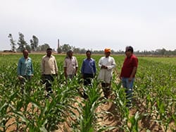 ICAR-Indian Council of Agricultural Research