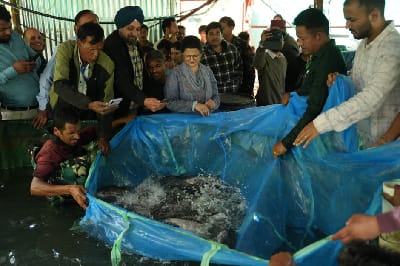 ICAR-CICFR, Bhimtal Unveils Solar-Powered Hybrid RAS to Promote Climate-Resilient Rainbow Trout Farming in Hill Regions