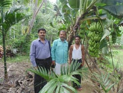ICAR-Indian Council of Agricultural Research