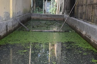 budding-farm-04.jpg 