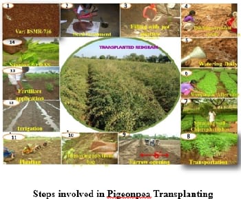 ICAR-Indian Council of Agricultural Research