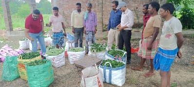 From Fragmented Farming to Tech-Enabled Vegetable Clusters: A Policy Model for SC Farmer Empowerment