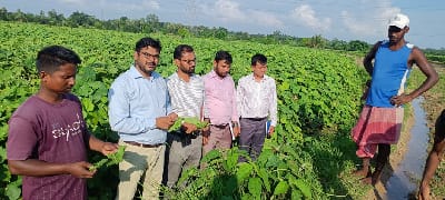 From Fragmented Farming to Tech-Enabled Vegetable Clusters: A Policy Model for SC Farmer Empowerment