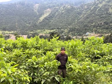 Turning Passion into Prosperity: The Walnut Success Story of Shri Suneel Singh with ICAR-CITH, Srinagar