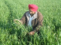 ICAR-Indian Council of Agricultural Research