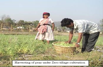 ICAR-Indian Council of Agricultural Research