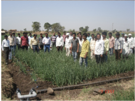 ICAR-Indian Council of Agricultural Research