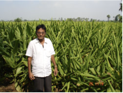 ICAR-Indian Council of Agricultural Research