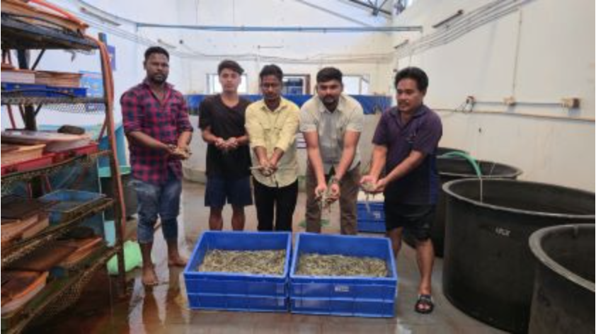 ICAR-Indian Council of Agricultural Research
