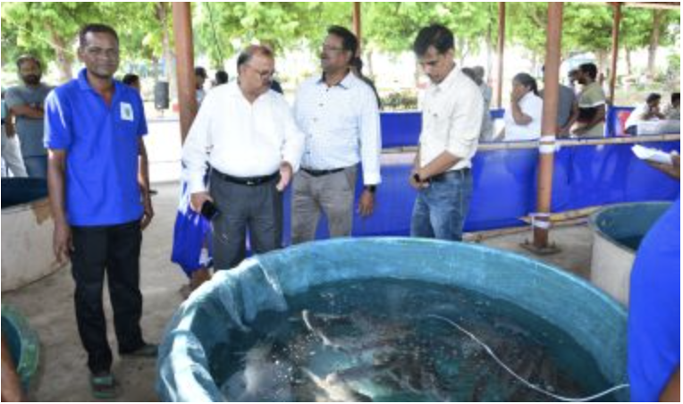 ICAR-Indian Council of Agricultural Research