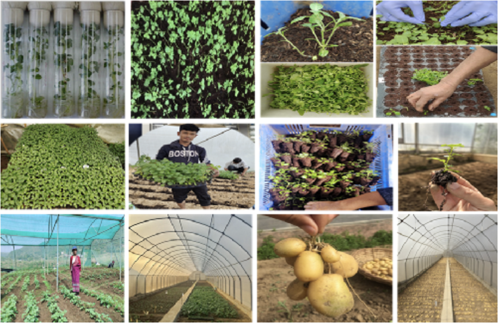 ICAR-Indian Council of Agricultural Research
