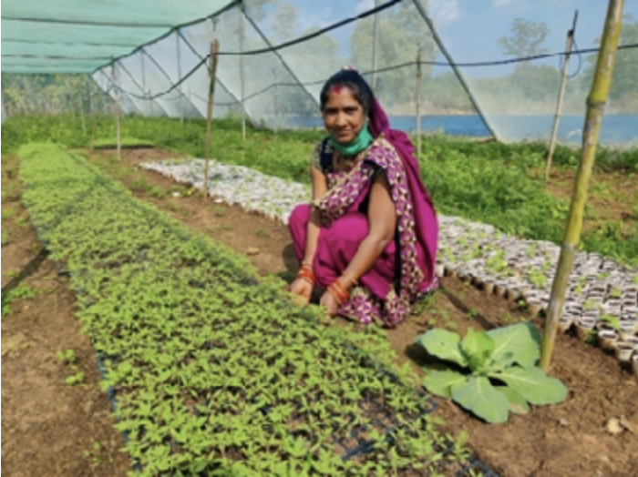 ICAR-Indian Council of Agricultural Research